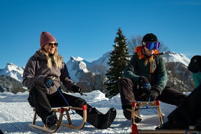 day-sledding-in-interlaken