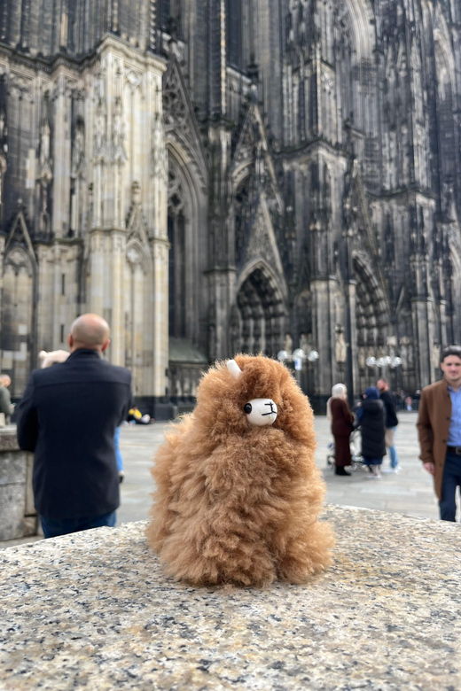 day-tour-aachen-cologne-from-brussels