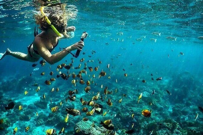 Day Tour and Snorkeling With Manta Rays to Lembongan From Bali - An In-Depth Look at the Itinerary and What You Can Expect