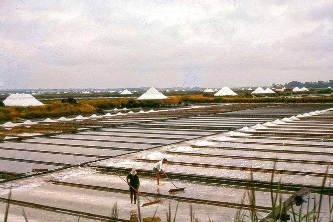 day-tour-coimbra-and-aveiro-from-lisbon