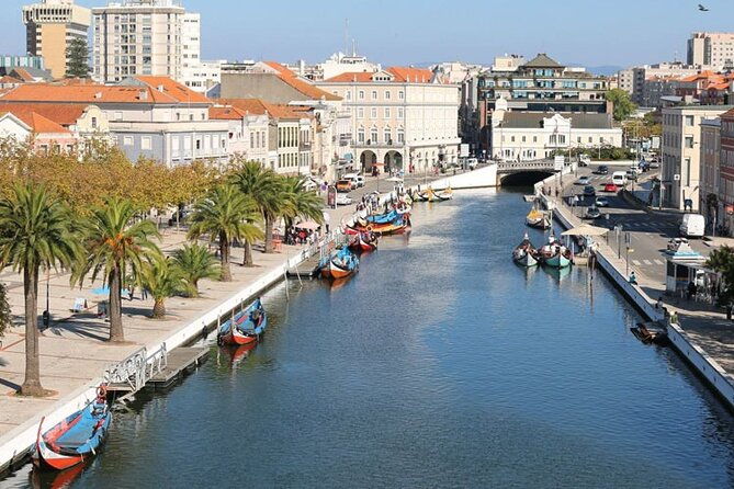 day-tour-coimbra-and-aveiro-from-lisbon
