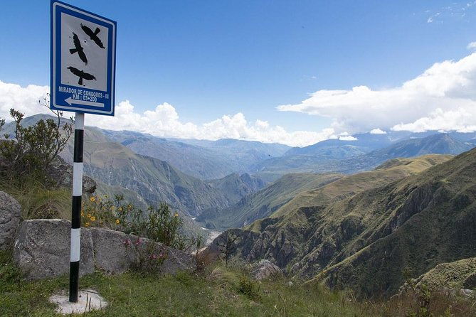 day-tour-condors-flight-chonta-canyon