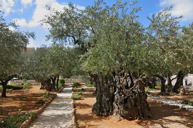 Day Tour Cruises Ashdod Port Jerusalem & Dead Sea or Bethlehem - An In-Depth Review of the Ashdod Port Jerusalem & Dead Sea or Bethlehem Day Tour