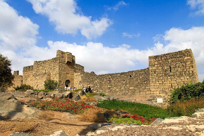 Day Tour Desert Castles & Azraq Wetland Reserve - The Experience from Reviewers’ Perspectives