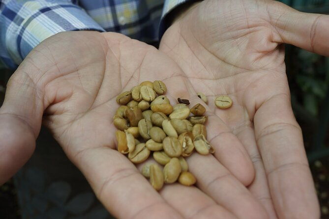 day-tour-doka-estate-poas-volcano-and-la-paz-waterfalls