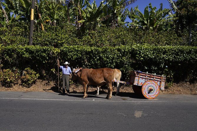 day-tour-doka-estate-poas-volcano-and-la-paz-waterfalls