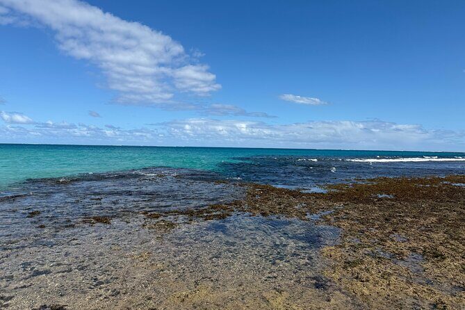 Day Tour Exploration of Fiji Culture and Nature - A Detailed Look at the Tour Experience