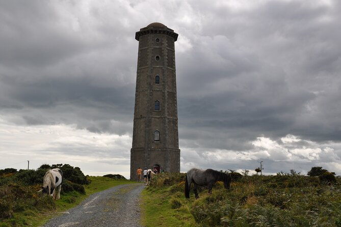 day-tour-from-dublin-to-wicklow-cliffs-heritage-wildlife-gaol