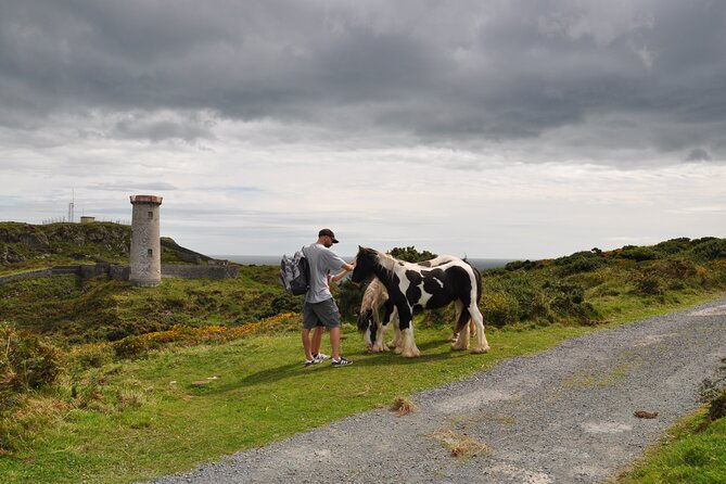 day-tour-from-dublin-to-wicklow-cliffs-heritage-wildlife-gaol