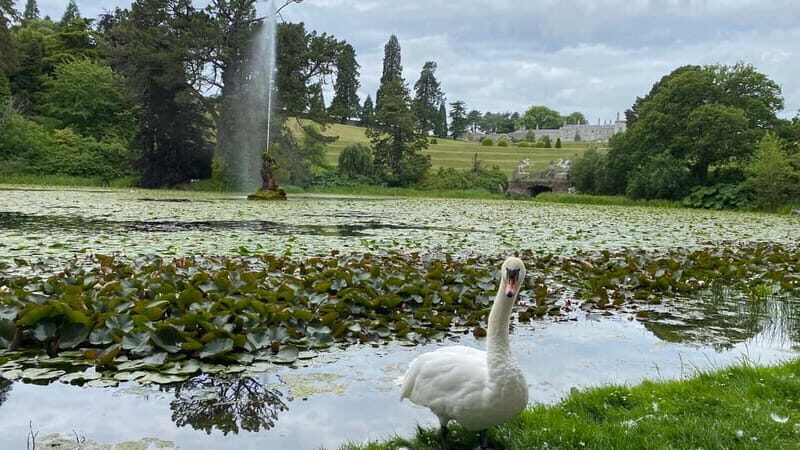Day Tour from Dublin: Wicklow Best Gardens and Countryside - Price & Value