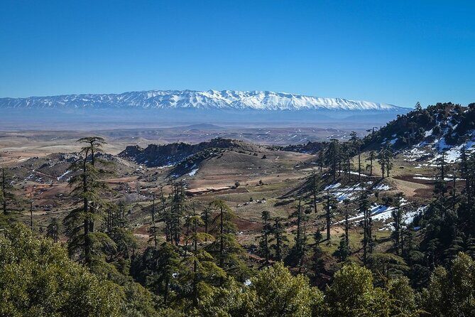 Day Tour From Fes to Middle Atlas (Imouzzer, Ifrane, and Azrou) - Discover the Middle Atlas: A Day Trip from Fes