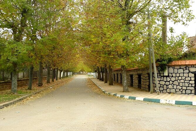 Day Tour From Fes to Middle Atlas (Imouzzer, Ifrane, and Azrou) - Key Points