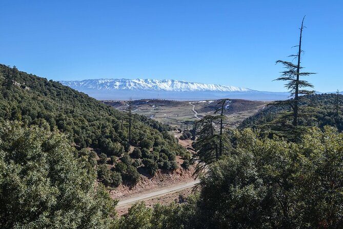 Day Tour From Fes to Middle Atlas (Imouzzer, Ifrane, and Azrou) - Review Highlights & Authentic Insights
