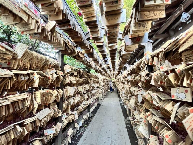 day-tour-from-tokyo-experience-kawagoe-and-edo-japan
