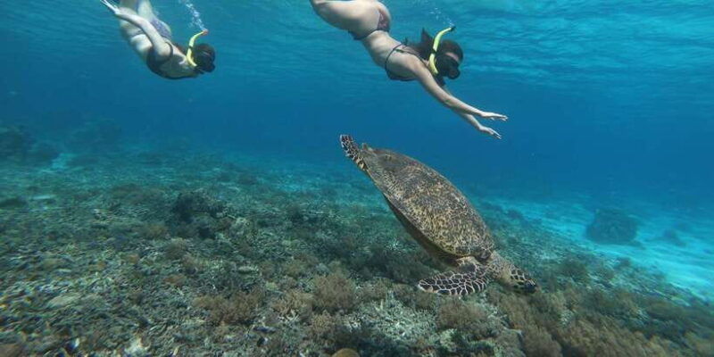 day-tour-gili-trawangan-gili-meno-gili-air-depart-lombok