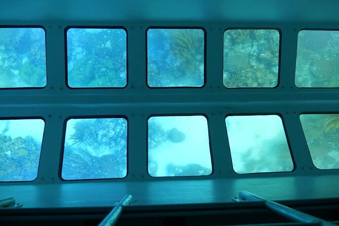 day-tour-glass-bottom-boat-in-islamorada-2