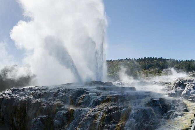 Day Tour Hobbiton + Rotorua from Auckland in Luxury Minibus - What Makes This Tour Stand Out?