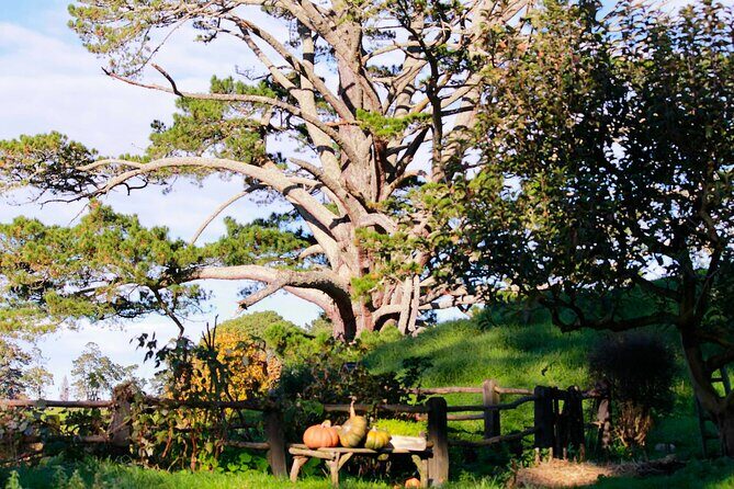 Day Tour Hobbiton + Rotorua from Auckland in Luxury Minibus - Who Would Enjoy This Tour?