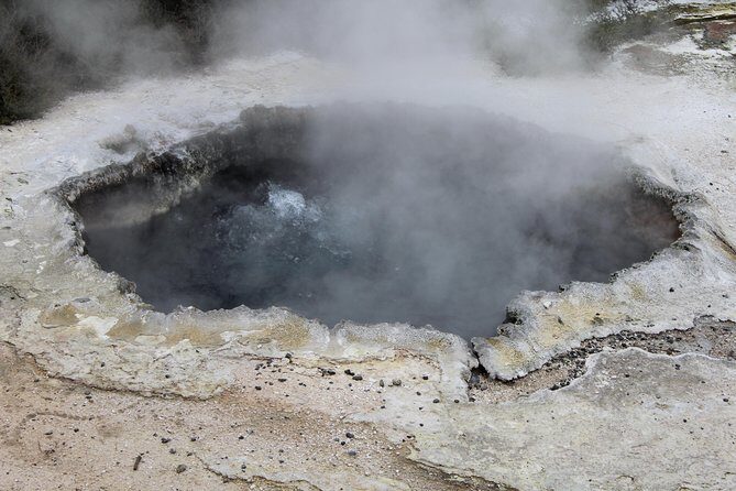 Day Tour Hobbiton + Rotorua from Auckland in Luxury Minibus - FAQ