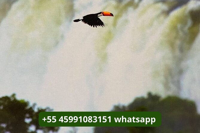 day-tour-iguassu-falls-both-sides-argentina-and-brazil
