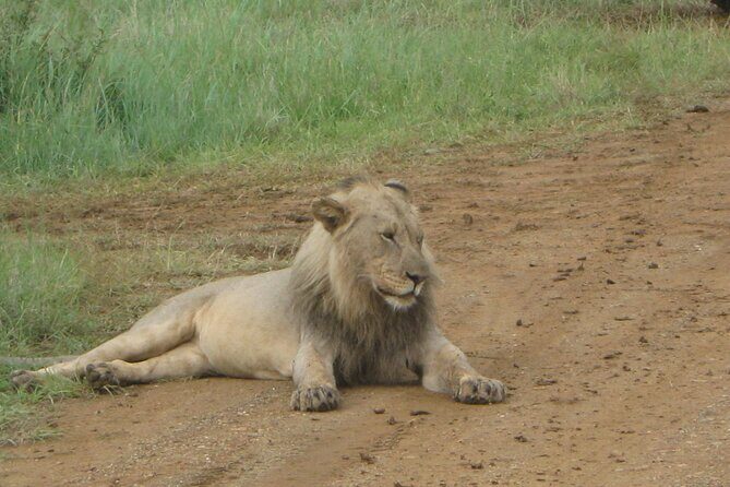Day Tour in Addo Elephant Park and Port Elizabeth South Africa - FAQ 