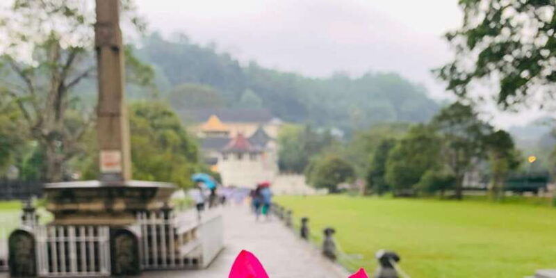 day-tour-in-awesome-kandy-city-from-colombo