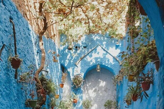 Day Tour in Blue City of Chefchaouen - Practical Details: What You Need to Know