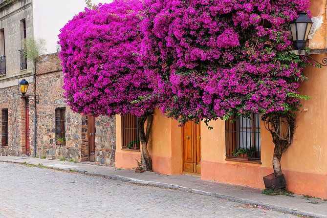 day-tour-in-colonia-del-sacramento