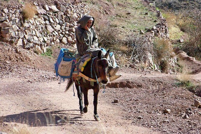 Day tour in high Atlas mountains - Authentic Experiences According to Reviewers