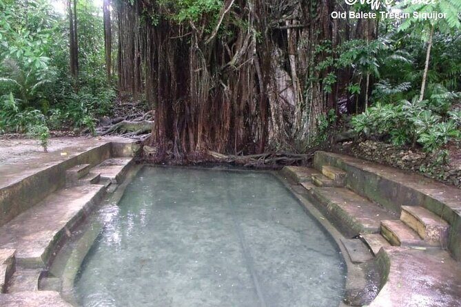 Day Tour in Siqi Private - Key Points