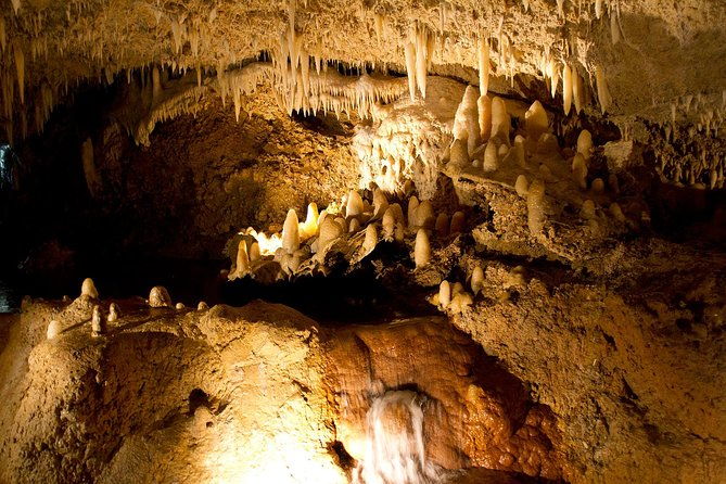 day-tour-including-harrisons-cave-st-nicholas-lunch-and-monkeys