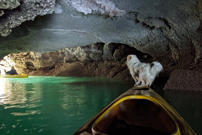 Day Tour: Kayak & Snorkel Boat Tour of Ha Long Bay - Authentic Insights from Reviewers
