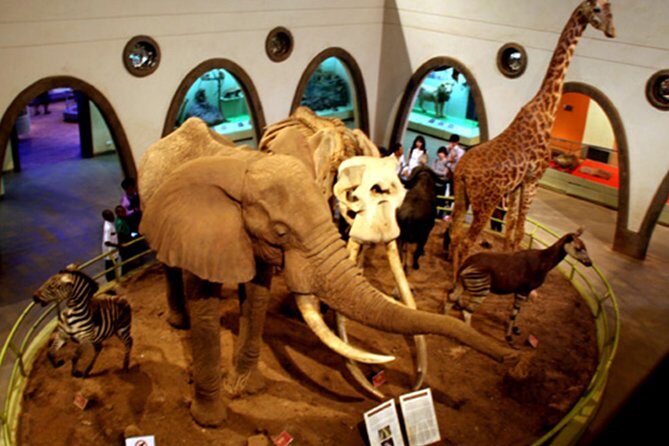 Day Tour Nairobi Museum, Giraffe Centre & Nairobi National Park - FAQ