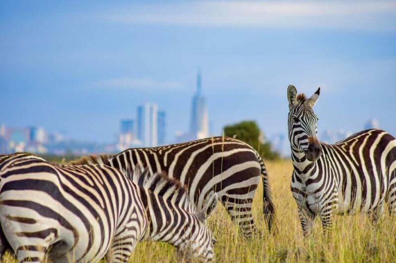 Day Tour Nairobi National Park, Elephant and Giraffe center - Frequently Asked Questions
