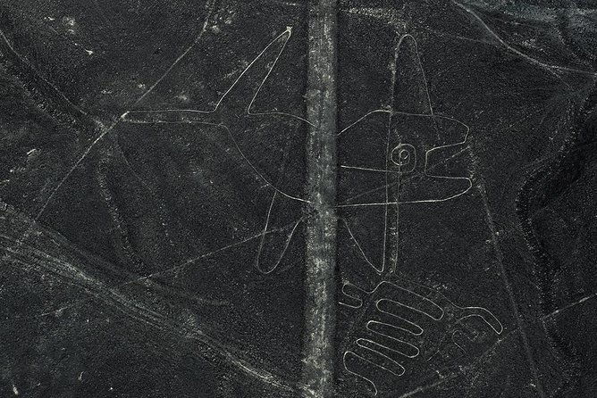 day-tour-nazca-lines-from-lima