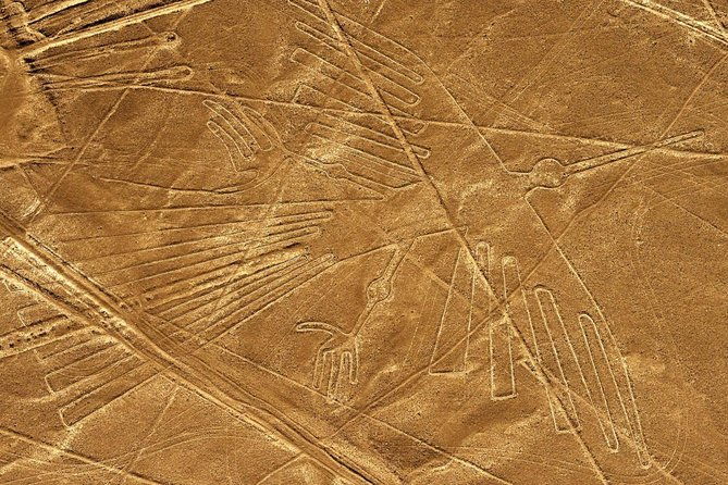 day-tour-nazca-lines-from-lima