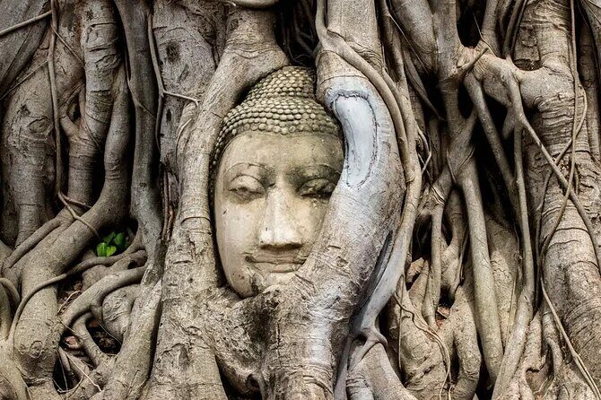 Day Tour of Ayutthaya and Bang Pa In - The Full Experience: Exploring the Itinerary