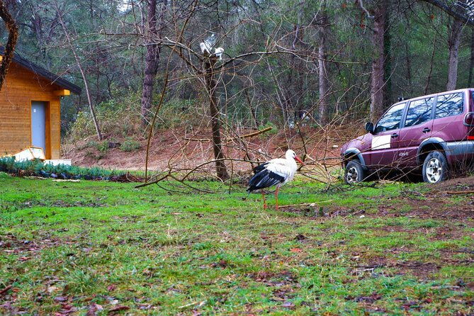 day-tour-of-berat-and-karavasta-lagoon-from-tiranadurres
