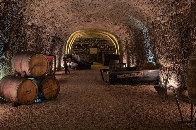 day-tour-of-chateaux-of-chenonceau-chambord-caves-ambacia-from-tours-amboise