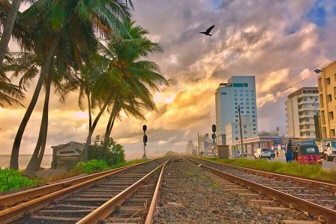 Day Tour of Colombo City - An In-Depth Look at the Colombo Day Tour