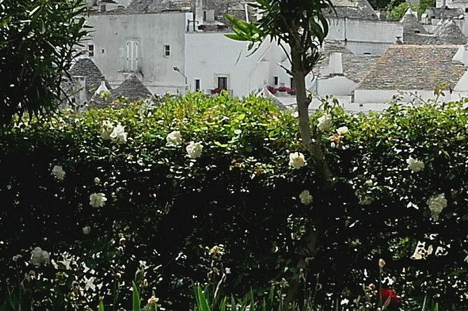 day-tour-of-ostuni-martina-franca-alberobello-from-bari-2