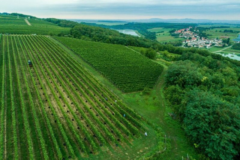 day-tour-of-pecs-and-with-villany-with-wine-tasting