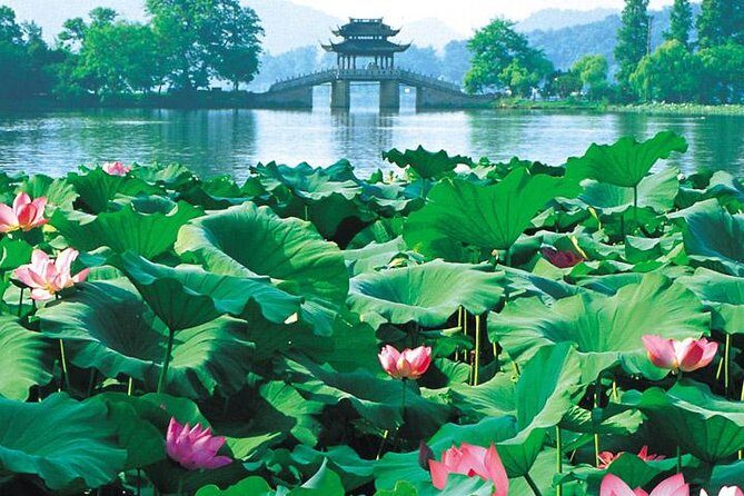 Day Tour of Picturesque Hangzhou - Introducing the Hangzhou Day Tour
