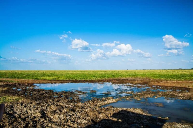 Day Tour of Tsavo East National Park from Mombasa/Diani - Authentic Insights from Reviews