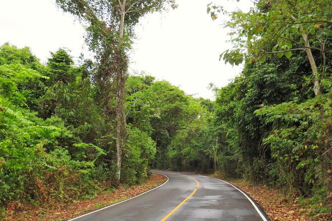 day-tour-rainforest-san-lorenzo-fort-and-the-panama-canal