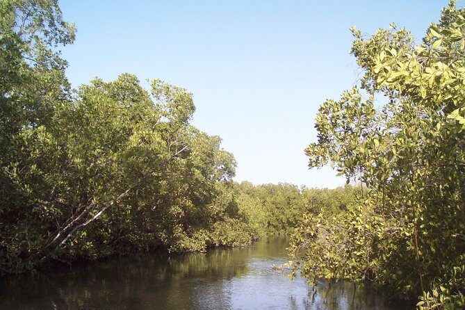Day tour Somone lagoon and Bandia park Safari - The Itinerary: What to Expect on This Full-Day Adventure