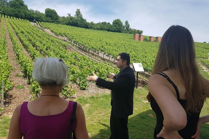 day-tour-tasting-at-moet-chandon-and-2-big-houses-in-epernay-4