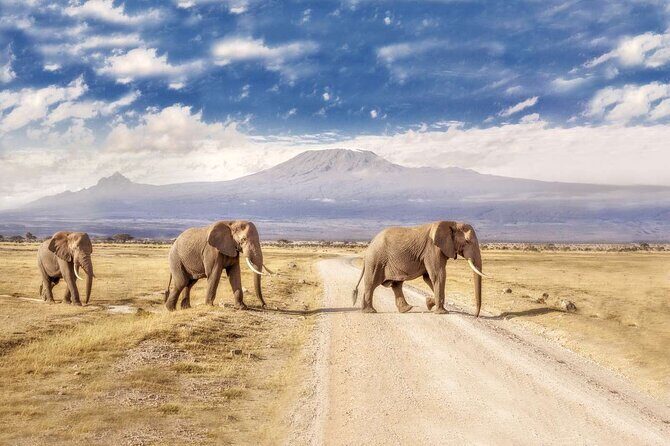 Day Tour to Amboseli National Park - Introduction