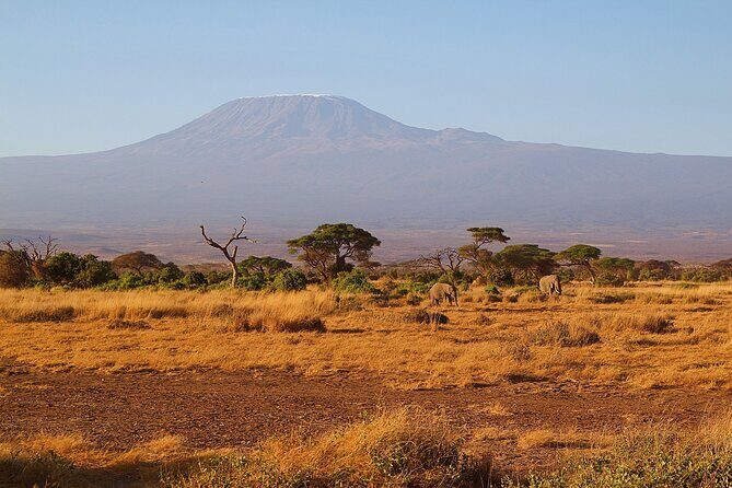 Day tour to Amboseli National Park and Maasai Village - Final Thoughts