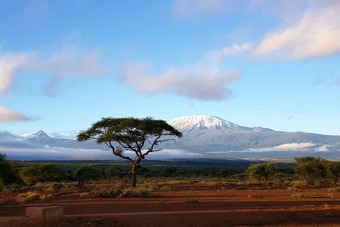 Day Tour to Amboseli National Park from Nairobi - Convenient Pickup and Transportation